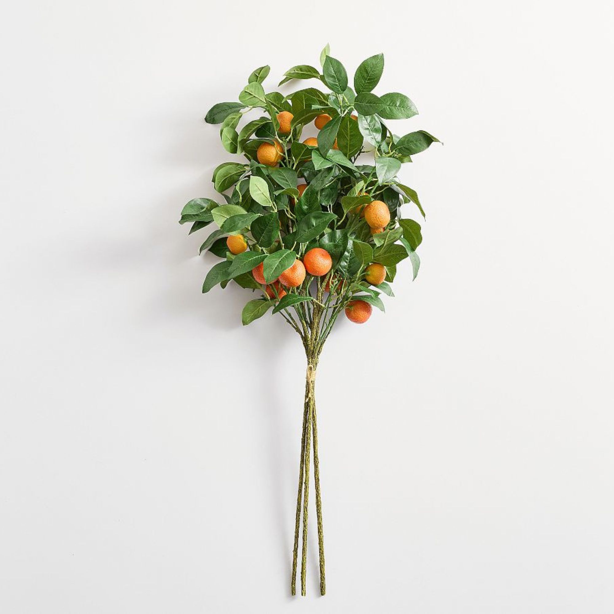 Pottery Barn faux orange stems