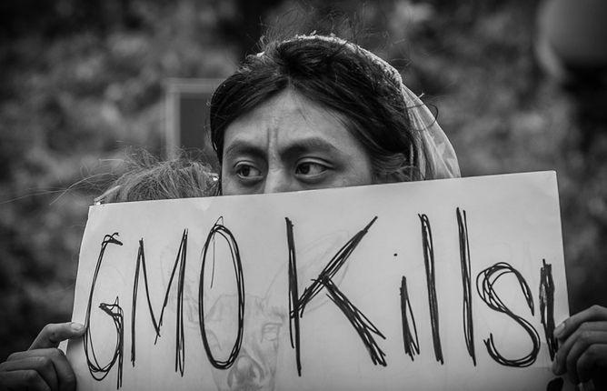 Women protesting GMOs