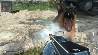 Call of Duty: Vanguard Attack Dogs