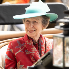 Princess Anne is in hospital following 'horse incident'