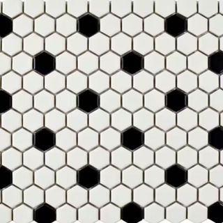 Hex Matte White with Black Tile