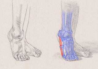 how to draw feet diagrams