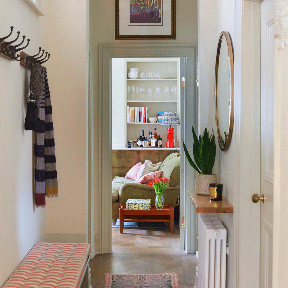 hallway with potted plant and hanging cloths