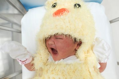 A newborn baby wearing a chicken costume to celebrate the Chinese New Year of the Rooster is pictured at the nursery room of Paolo Chockchai 4 Hospital, in Bangkok, Thailand.