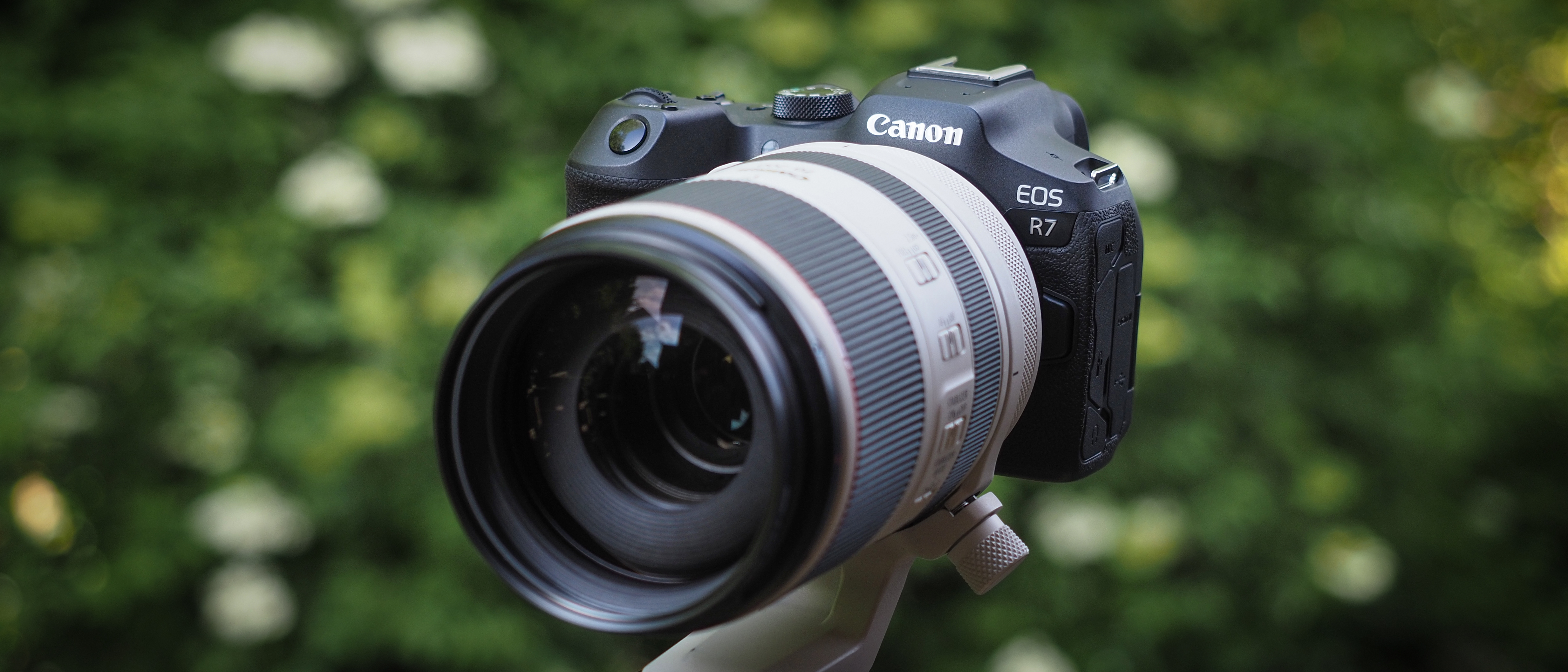 Canon EOS R7 Review. One of the Best Cameras This Year