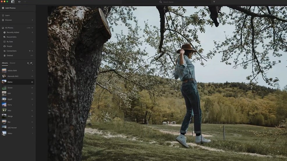 Screengrab of Lightroom interface showing photo of man swinging from tree