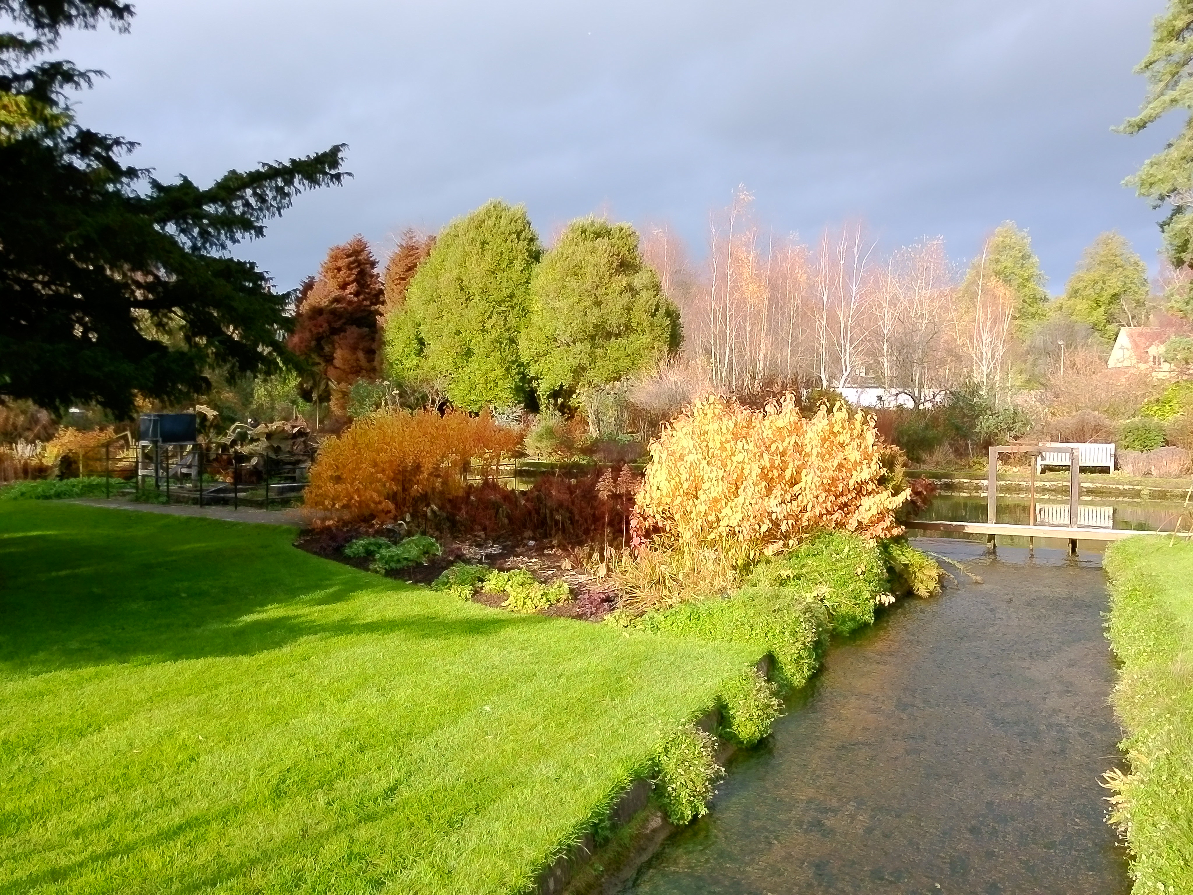 Yashica City 300 example shot