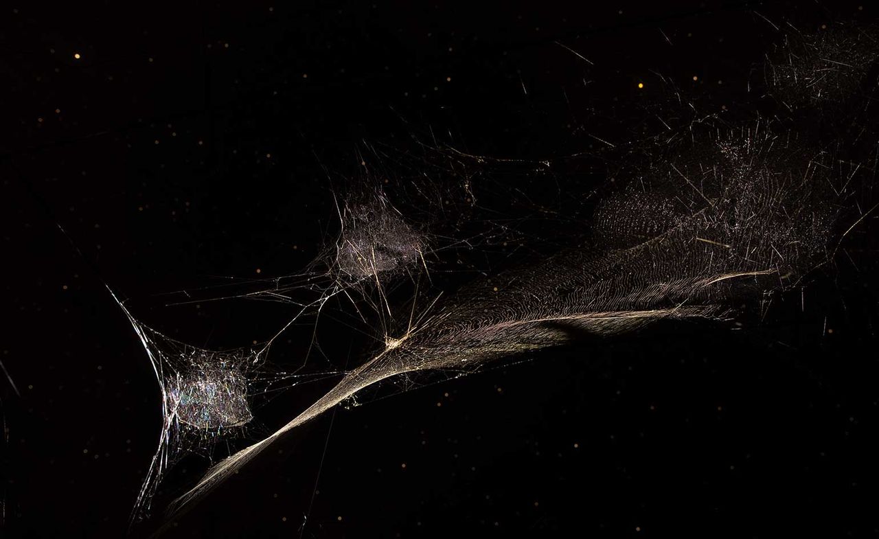 The Cosmic Web, by Bulgari and Tomás Saraceno at Milan Design Week