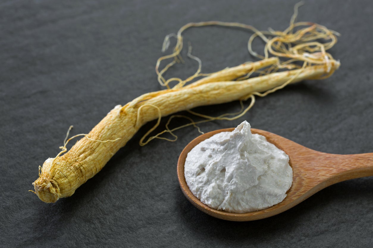 Is Ginseng Good For You Growing Ginseng As A Medicinal Herb