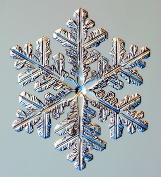 snowflakes, snow crystals, images of snow crystals, what snowflakes look like, snow crystal photographs, what snow looks like, snow flakes pictures, photographing snow crystals, snowflake images