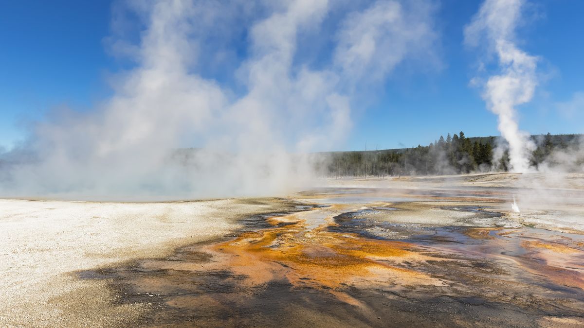 Black Sand Geyser Basin, Yellowstone National Park, USA