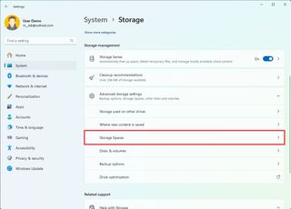 Windows 11 Storage settings