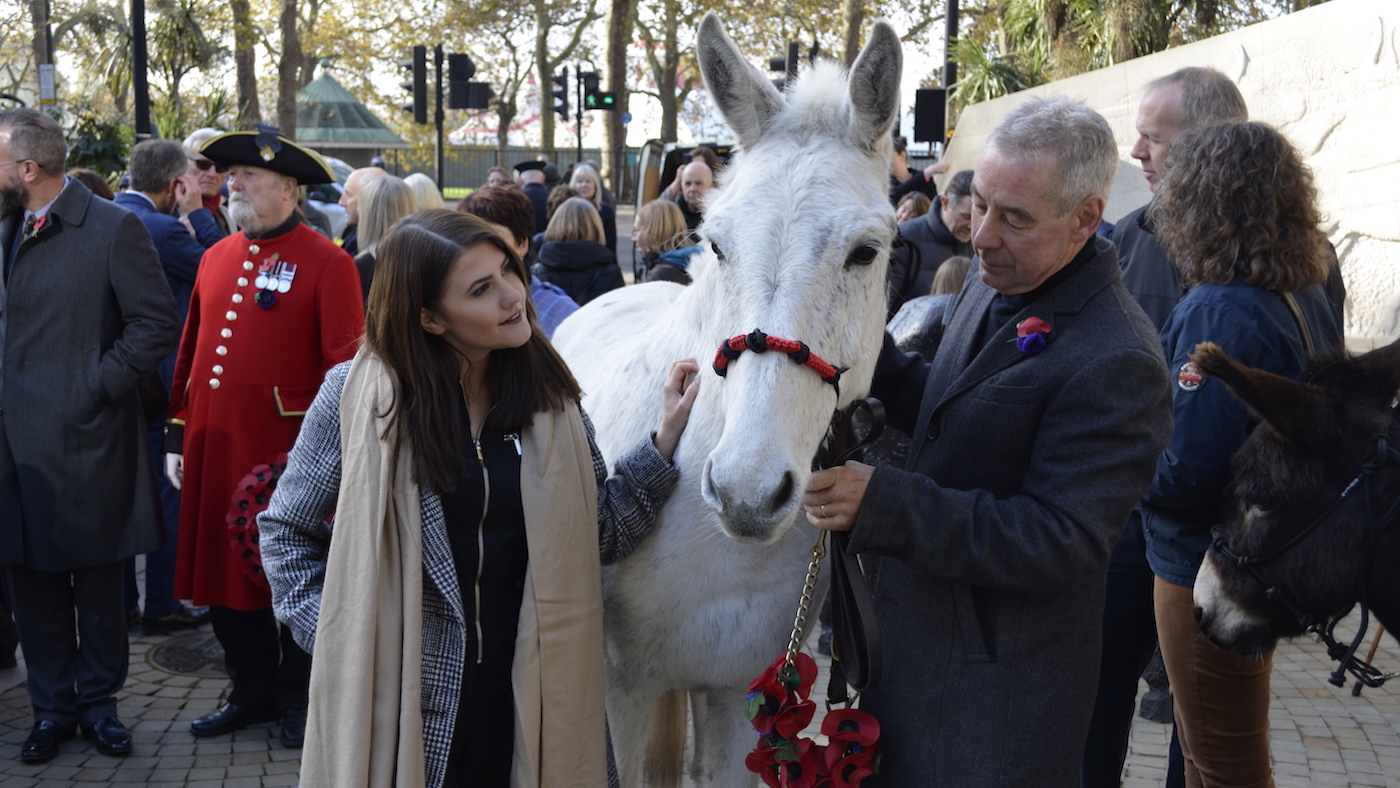 Aimee-with-mule.jpg