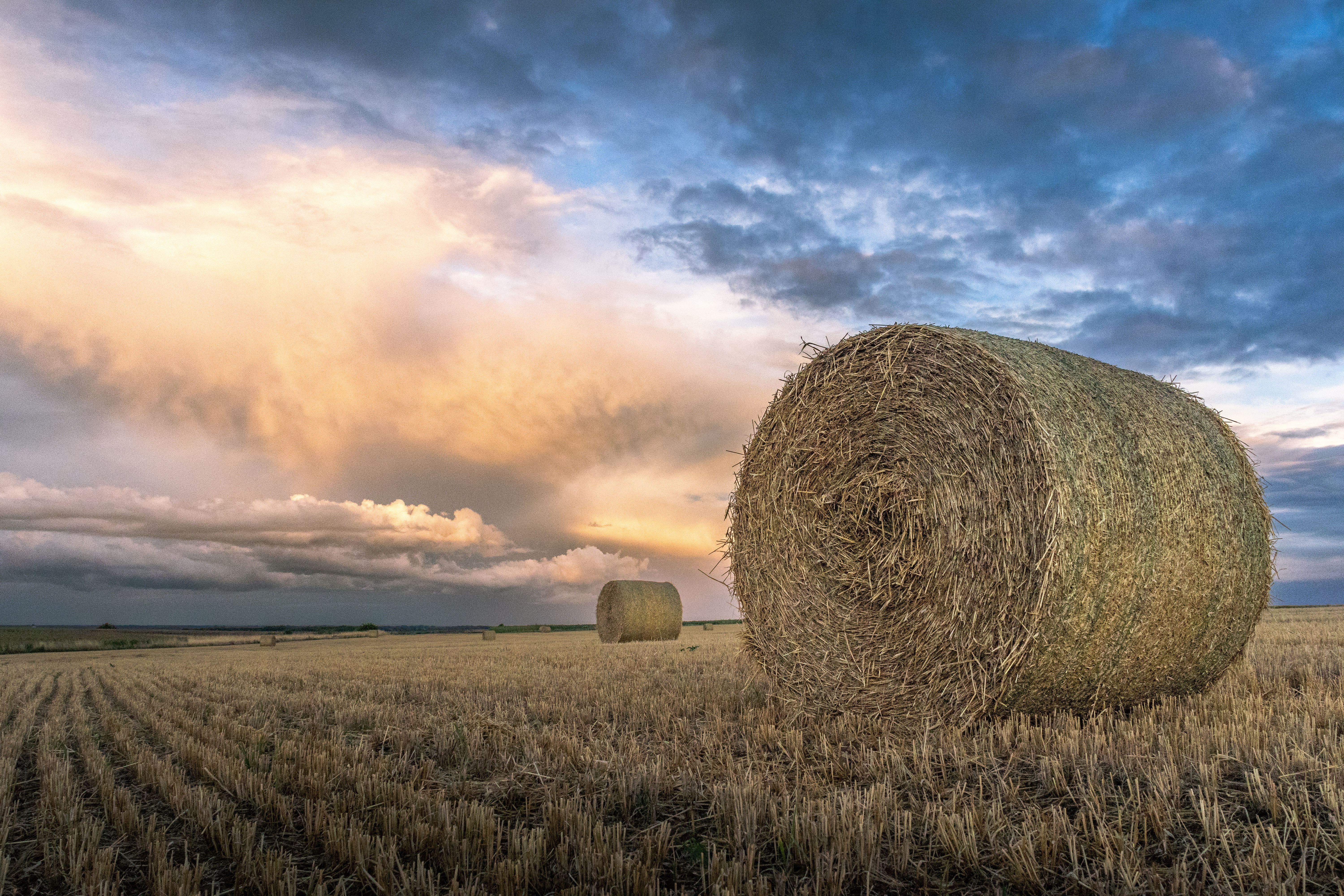 GuruShots March 2026