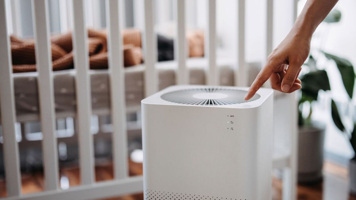 First home must haves ✨ #homedecor #home #fyp #musthaves, Air Purifier