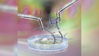 CRISPR concept art showing DNA being taken apart with tools in a Petri dish.