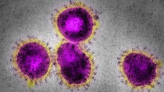 Coronavirus electron microscopy image.