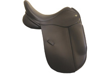 Suzannah-saddle.jpg