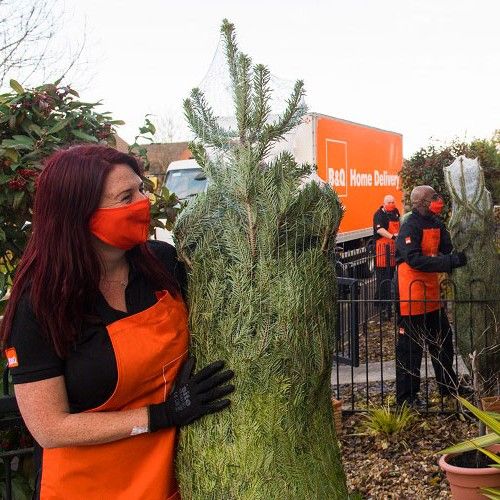 New for 2020 B&Q real Christmas trees delivered straight to your door! Ideal Home