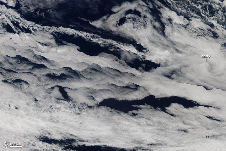 Marine stratocumulus clouds, algae snot, cloud formation