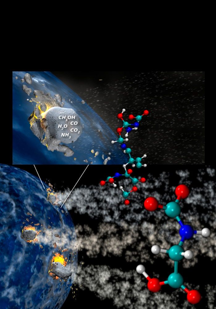 Comets Contain Elements for Life