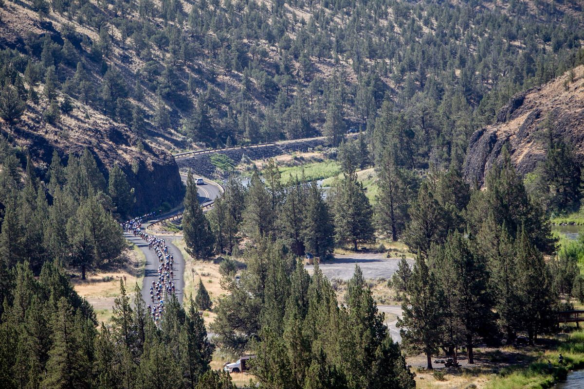 The peloton winds along through the Oregon countryside