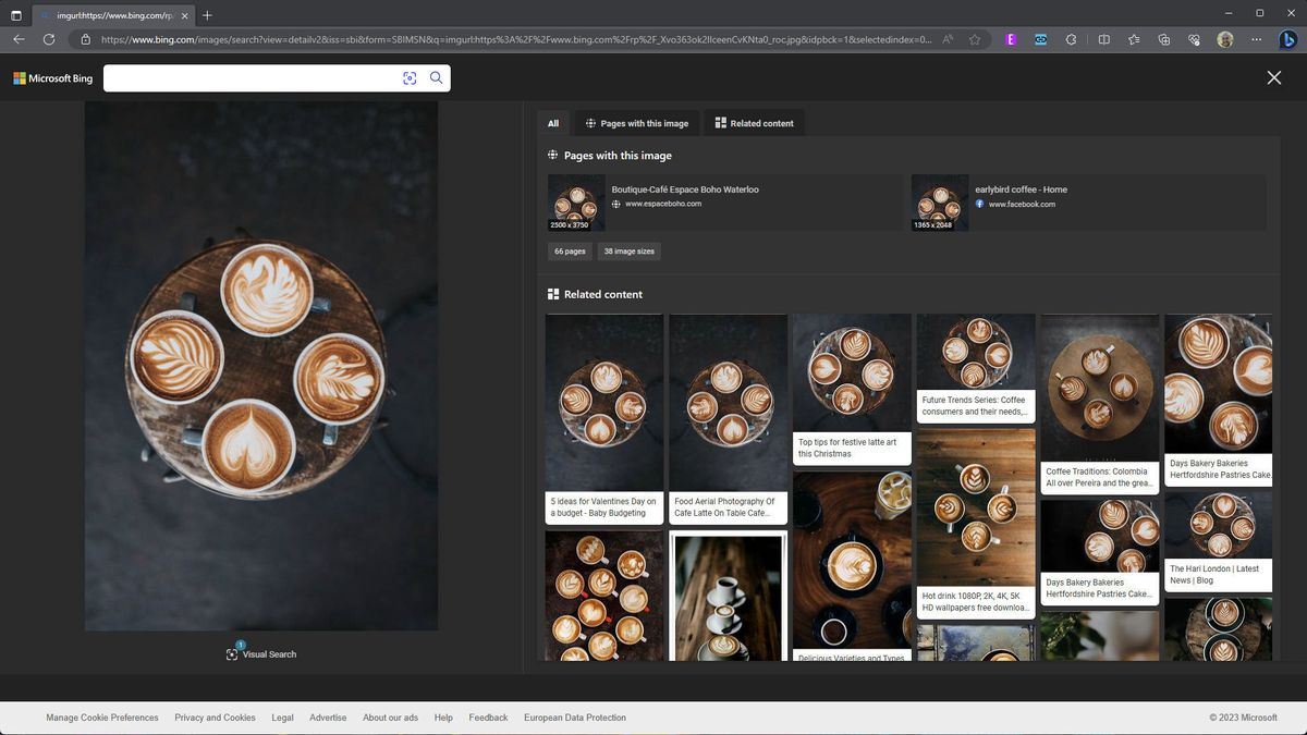 Visual Search in Bing Chat