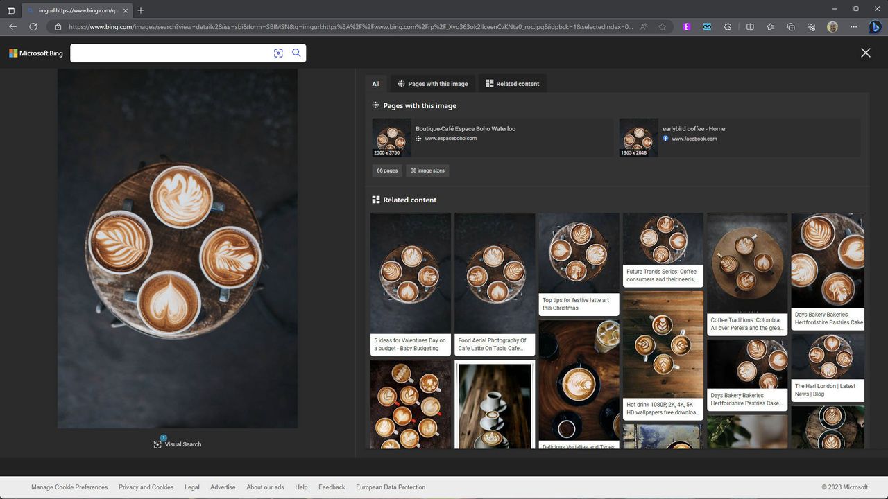 Visual Search in Bing Chat