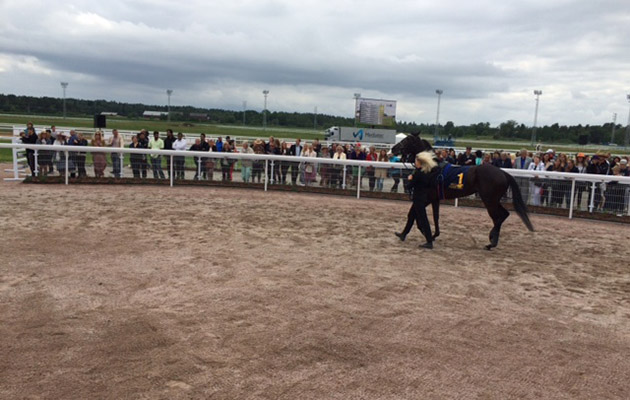 In the paddock