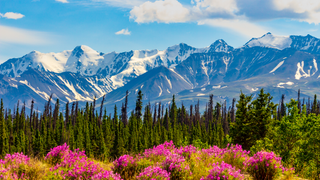 Yukon snowy mountain.