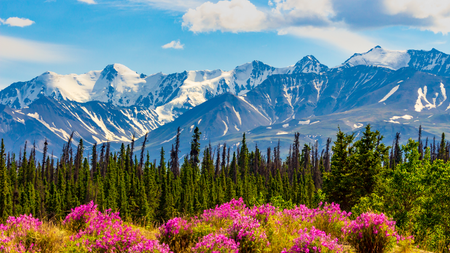 Yukon snowy mountain.