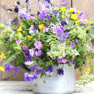 Wildflowers in old pot with wooden rustic background