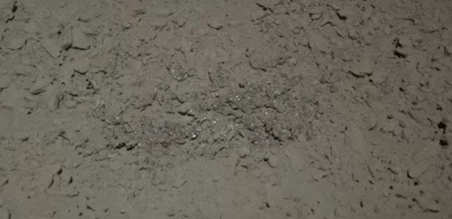 T9rsvdkq8XFRLv8J3z7JMP-650-80.jpg