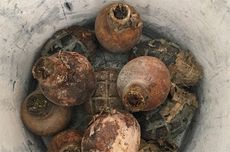 grenades, bordeaux, world war two