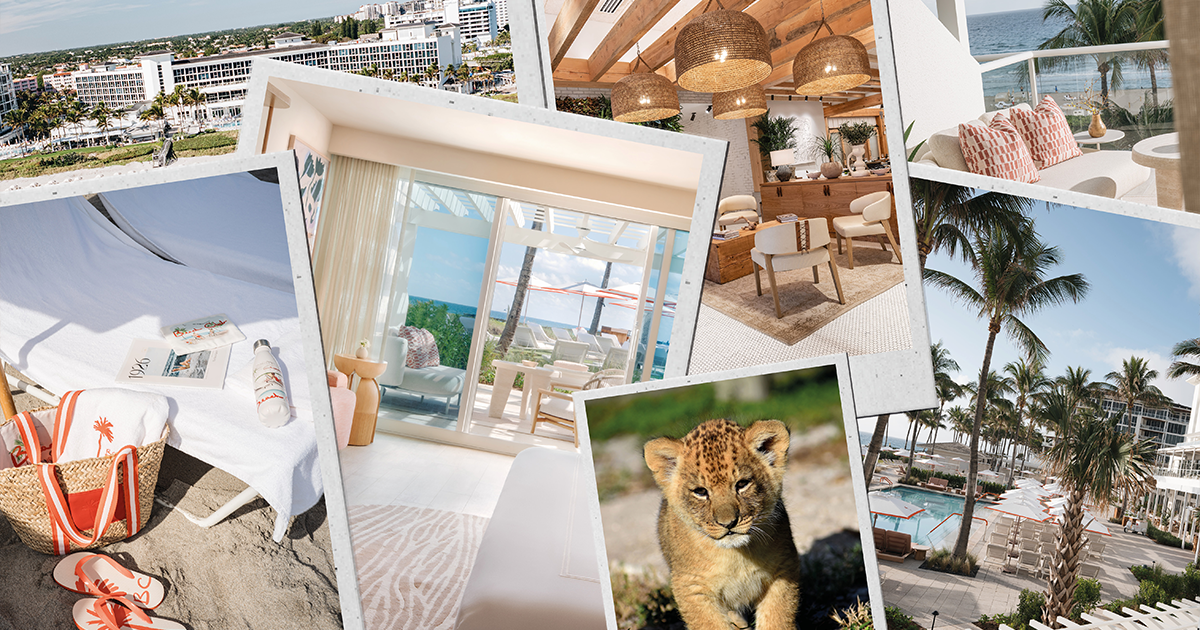 Easy Escapes: Why Florida’s Palm Beaches Are the Ultimate Luxury Family Destination