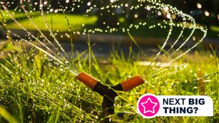 A garden sprinkler watering a lawn