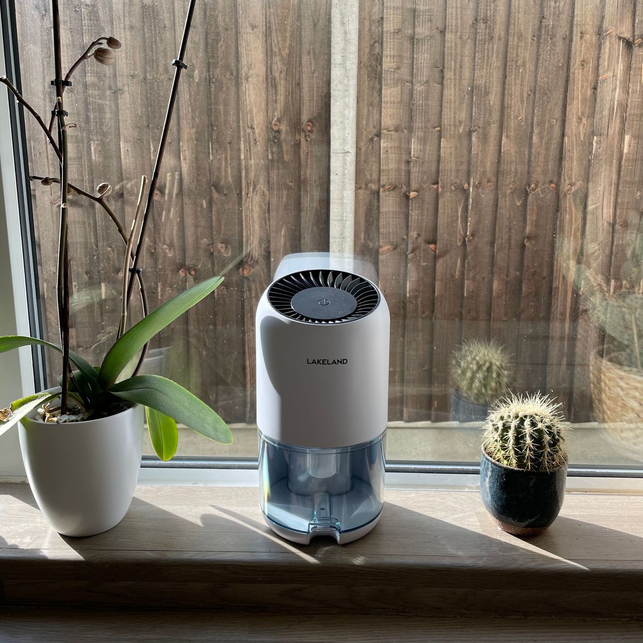 Lakeland dehumidifier on a window sill next to an orchid and a cactus