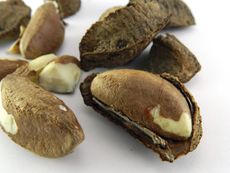 Brown Brazil Nuts