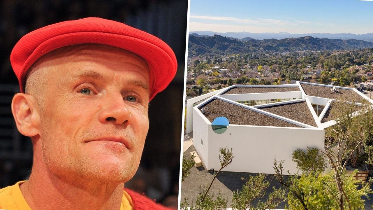 flea&#039;s La compound