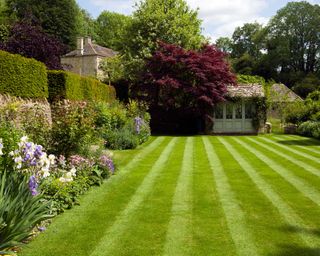 striped garden lawn