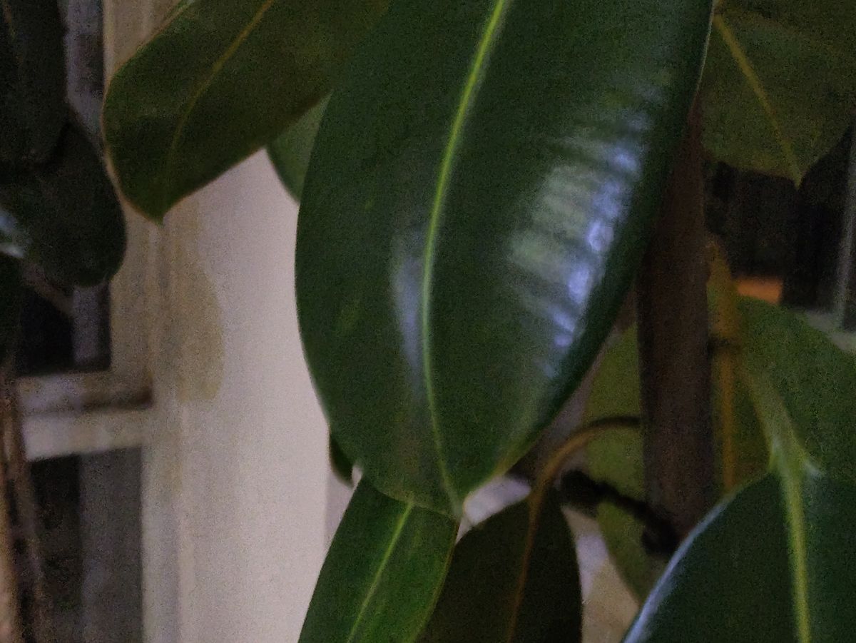 ZTE Axon 40 Ultra macro mode