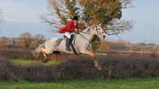 Robert Walker out with the Cheshire Hunt