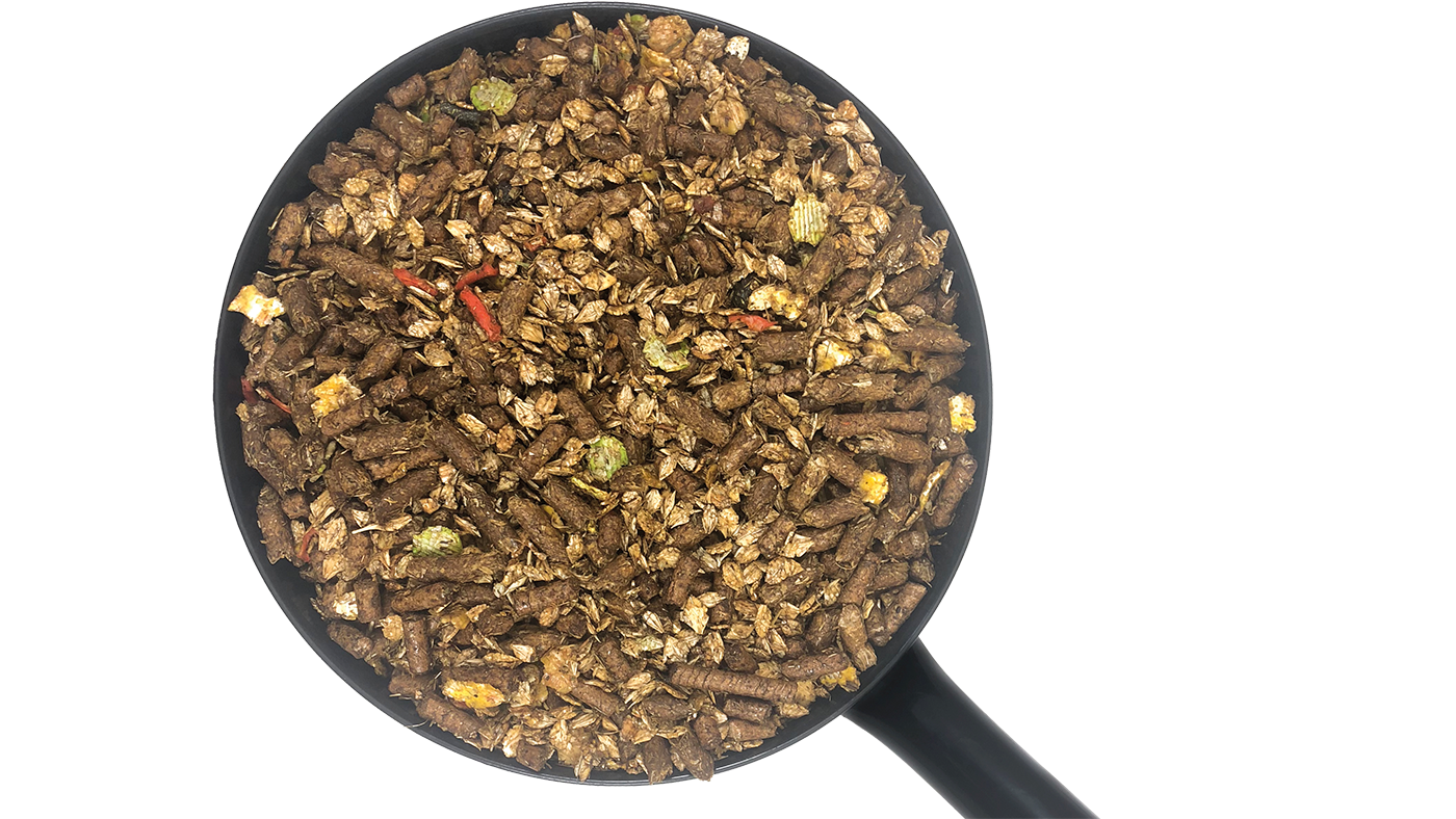 Pasture Mix