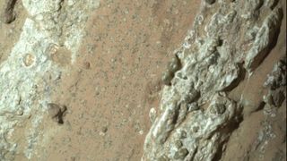 A closeup of "leopard spots" on Mars seen by the Perseverance rover.