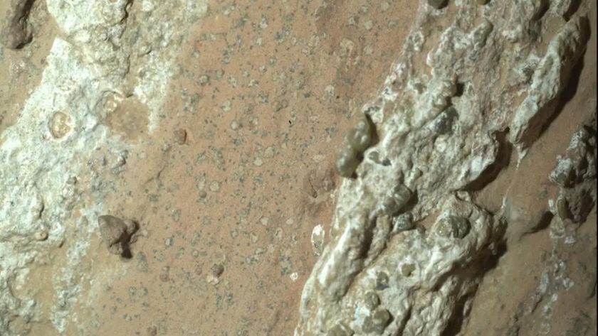 A closeup of &quot;leopard spots&quot; on Mars seen by the Perseverance rover.
