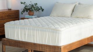 The Avocado Mattress Pad Protector pulled neatly over a mattress that sits on a wooden bed frame