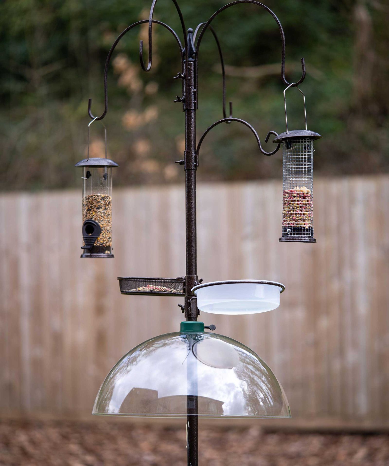 How to keep squirrels off bird feeders 3 easy ways Gardeningetc
