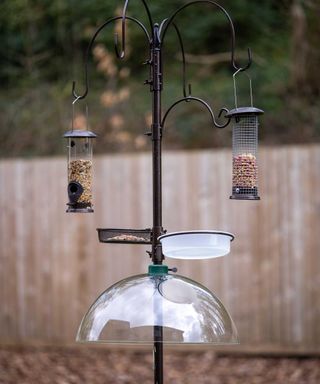 squirrel baffle beneath bird feeder