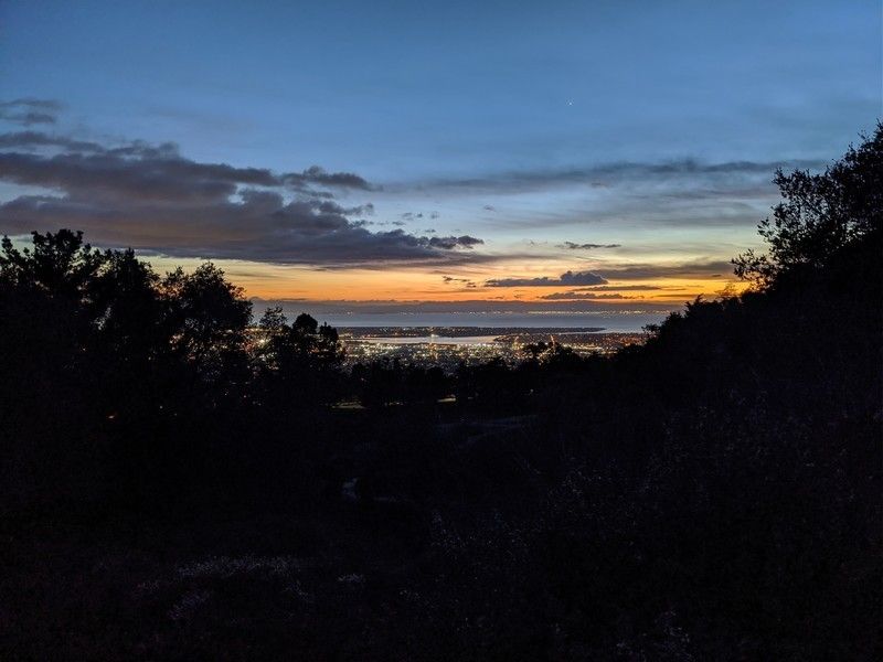 Pixel 4 XL camera sample