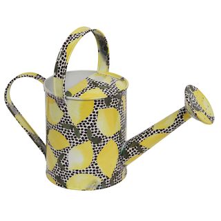 paperchase watering can
